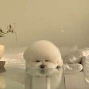 ヒメ日記 2026/01/11 16:12 投稿 夏乃 ひまり ハレ系 放課後クラブ