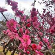 夏乃 ひまり きょうは21時までm(._.)m❤️ ハレ系 放課後クラブ