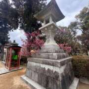 夏乃 ひまり お礼日記待っててくださいね🥹🩵 ハレ系 放課後クラブ