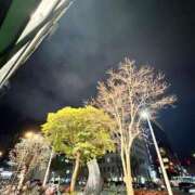 ヒメ日記 2026/03/14 23:41 投稿 夏乃 ひまり ハレ系 放課後クラブ