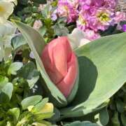 夏乃 ひまり 今日は21時までいるよ🍨 ハレ系 放課後クラブ