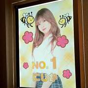 ヒメ日記 2025/06/05 18:08 投稿 にじか みつばちマーヤZ