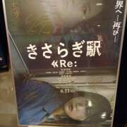 ヒメ日記 2025/06/18 01:10 投稿 にじか みつばちマーヤZ