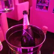 ヒメ日記 2025/06/20 01:25 投稿 にじか みつばちマーヤZ