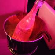 ヒメ日記 2025/07/11 01:14 投稿 にじか みつばちマーヤZ