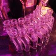 ヒメ日記 2025/07/31 00:57 投稿 にじか みつばちマーヤZ