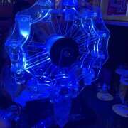 ヒメ日記 2025/08/14 16:03 投稿 にじか みつばちマーヤZ