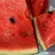 ヒメ日記 2025/08/16 01:18 投稿 にじか みつばちマーヤZ