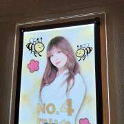 ヒメ日記 2025/09/08 01:16 投稿 にじか みつばちマーヤZ