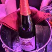 ヒメ日記 2025/10/12 00:33 投稿 にじか みつばちマーヤZ