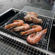 ヒメ日記 2025/11/03 00:46 投稿 にじか みつばちマーヤZ