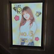 ヒメ日記 2025/11/04 01:08 投稿 にじか みつばちマーヤZ