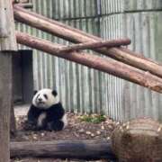 ヒメ日記 2025/05/24 13:49 投稿 ふゆみ 錦糸町人妻セレブリティ（ユメオト）