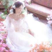 ヒメ日記 2025/08/30 11:54 投稿 れいあ あとりえ(ATELIER)