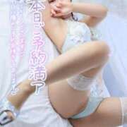 ヒメ日記 2025/10/15 23:01 投稿 新人・こはる☆濡れて誘う清純肌 シャブール