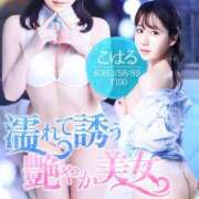 ヒメ日記 2026/03/17 03:00 投稿 新人・こはる☆濡れて誘う清純肌 シャブール