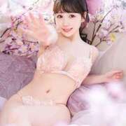 ヒメ日記 2026/04/04 07:30 投稿 新人・こはる☆濡れて誘う清純肌 シャブール
