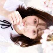 ヒメ日記 2026/04/05 15:04 投稿 新人・こはる☆濡れて誘う清純肌 シャブール