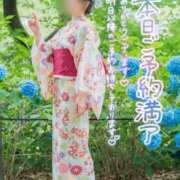 ヒメ日記 2026/07/17 02:09 投稿 新人・こはる☆濡れて誘う清純肌 シャブール