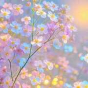 ヒメ日記 2025/06/13 21:56 投稿 れいか ぽっちゃり巨乳素人専門横浜関内伊勢佐木町ちゃんこ