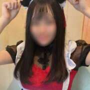 ヒメ日記 2025/11/24 13:36 投稿 ここな ビデオdeはんど 横浜校