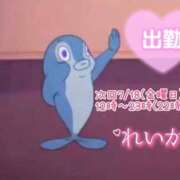 ヒメ日記 2025/07/08 21:23 投稿 れいか 新横浜ちゃんこ