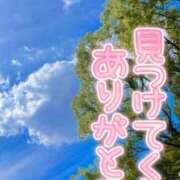 ヒメ日記 2025/08/08 17:33 投稿 れいか 新横浜ちゃんこ