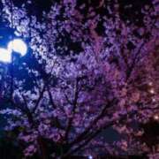 ヒメ日記 2026/04/05 17:12 投稿 志村　まお 八王子だョ！変態集合