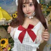 ヒメ日記 2025/08/29 10:39 投稿 みつり TOKYO BUNNYS CLUB