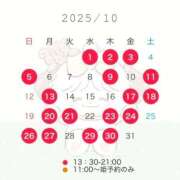 ヒメ日記 2025/09/24 14:43 投稿 みつり TOKYO BUNNYS CLUB