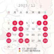 ヒメ日記 2025/10/22 11:13 投稿 みつり TOKYO BUNNYS CLUB