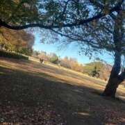 ヒメ日記 2025/12/10 13:01 投稿 みつり TOKYO BUNNYS CLUB