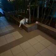 ヒメ日記 2026/03/14 21:14 投稿 かなこ 人妻倶楽部 内緒の関係 大宮店