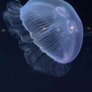 ヒメ日記 2025/07/28 09:43 投稿 ゆん 大高・大府市・東海市ちゃんこ