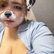 ヒメ日記 2025/11/15 17:43 投稿 ゆん 大高・大府市・東海市ちゃんこ