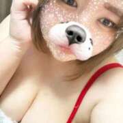 ヒメ日記 2025/11/18 17:03 投稿 ゆん 大高・大府市・東海市ちゃんこ