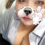 ヒメ日記 2025/11/29 16:33 投稿 ゆん 大高・大府市・東海市ちゃんこ