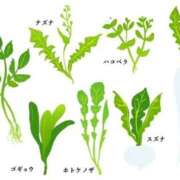 ヒメ日記 2026/01/03 20:34 投稿 かなこ 人妻倶楽部 内緒の関係 川越店