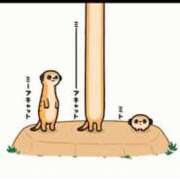 ヒメ日記 2026/01/26 04:38 投稿 かなこ 人妻倶楽部 内緒の関係 川越店
