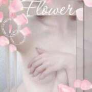 ヒメ日記 2026/03/13 11:55 投稿 れい Tバックエステ 池袋店