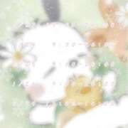 ヒメ日記 2026/01/21 10:00 投稿 ゆさ 激安ソープの殿堂　ボイン・ホーテ