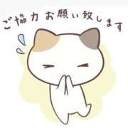 ヒメ日記 2026/03/17 09:01 投稿 ゆさ 激安ソープの殿堂　ボイン・ホーテ