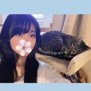 ヒメ日記 2025/05/01 18:54 投稿 ぽんず サティアンまーと