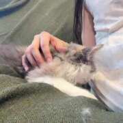 ヒメ日記 2025/06/15 17:59 投稿 ぽんず サティアンまーと