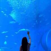 ヒメ日記 2025/06/26 06:39 投稿 ぽんず サティアンまーと