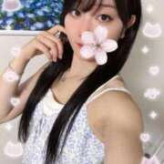 ヒメ日記 2025/07/22 15:29 投稿 ぽんず サティアンまーと