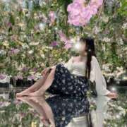 ヒメ日記 2025/08/07 16:22 投稿 ぽんず サティアンまーと