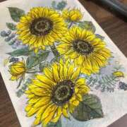 ヒメ日記 2025/09/18 06:09 投稿 ぽんず サティアンまーと