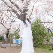 ヒメ日記 2026/04/20 19:09 投稿 ぽんず サティアンまーと