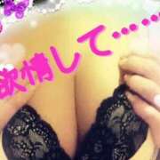 ヒメ日記 2025/05/02 08:12 投稿 相葉はな しこたま奥様 横浜店